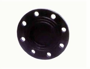 Flange